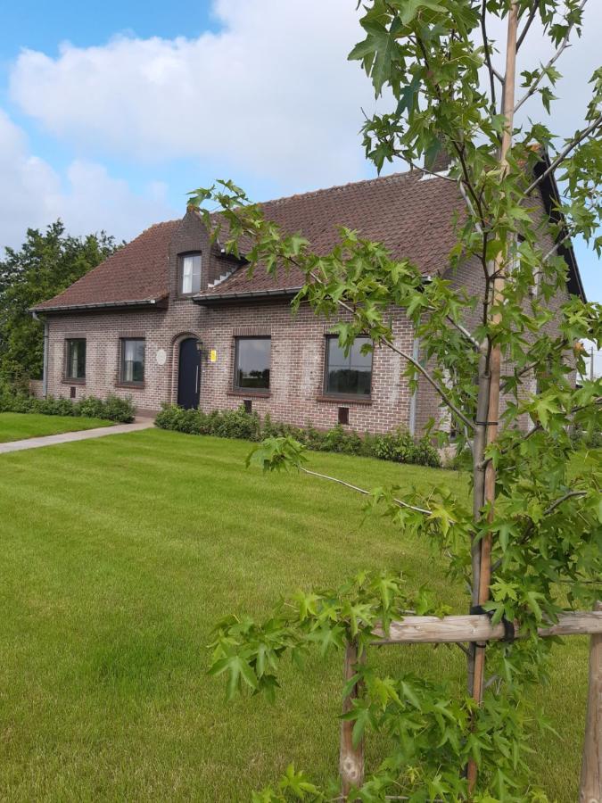 Vakantiehuis Zoetendaal Reningelst Eksteriør billede