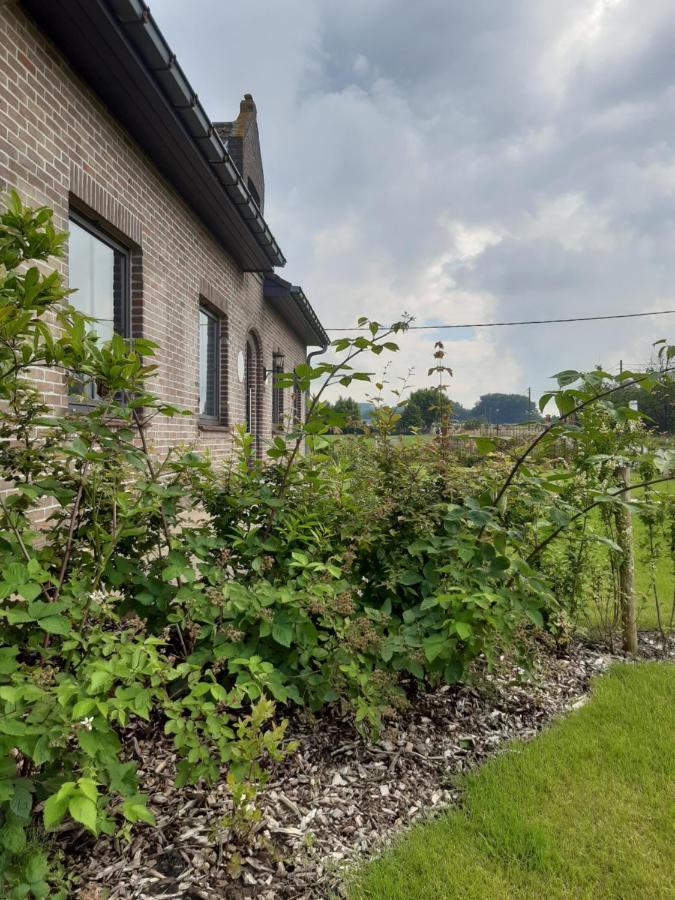 Vakantiehuis Zoetendaal Reningelst Eksteriør billede